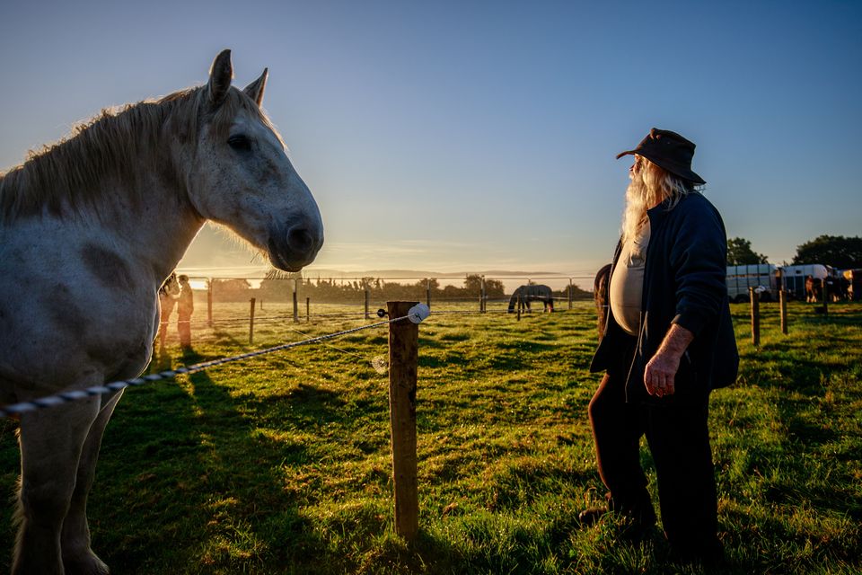 Ploughman Jerry Dennehy from Kerry with his horses on day of  the National Ploughing Championships in Ratheniska. Photo: Mark Condren