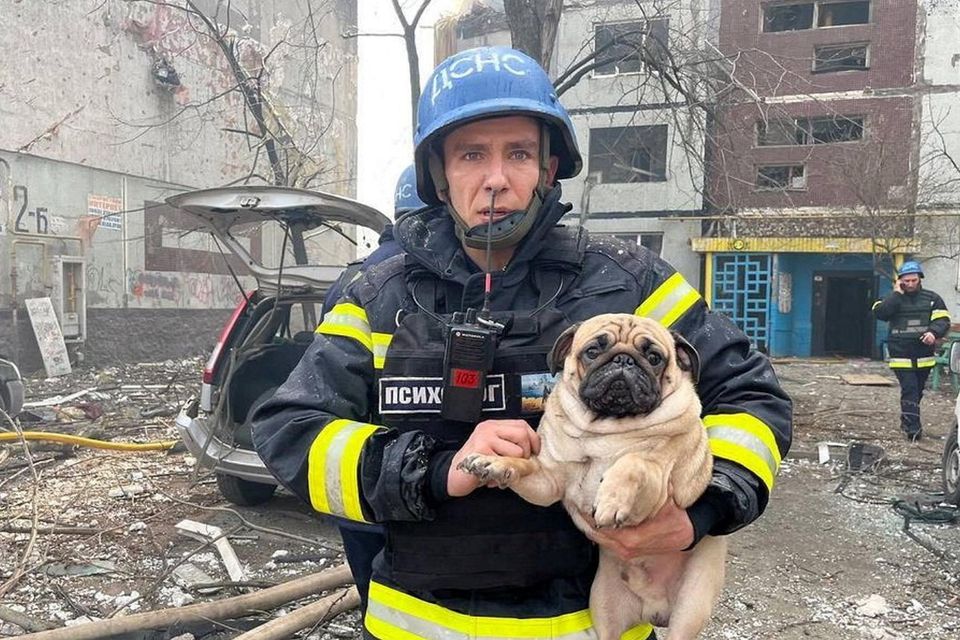 A rescuer carries a dog found at a site of a residential building hit by a Russian missile strike in Zaporizhzhia