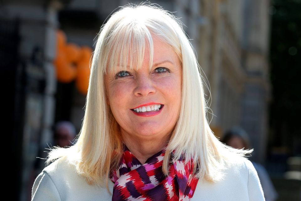 Jobs Minister Mary Mitchell O’Connor. Photo: Tom Burke