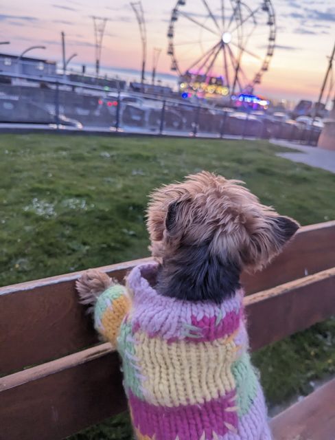 Romy Power does some sightseeing...