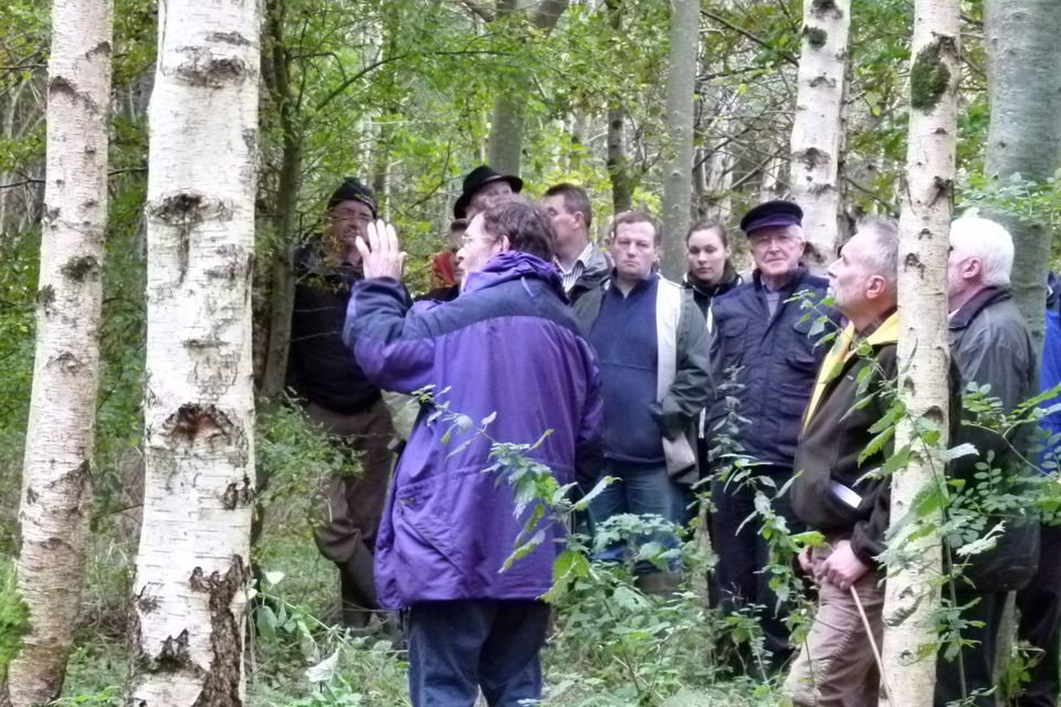 Consider joining your local Forest Owner Group. It is a great way to get to know other forest owners in your area. Photo: Teagasc.