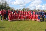 thumbnail: The Louth Minor footballers after their win over Wicklow.