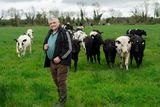 thumbnail: '“I had a mixture of cows and cattle, but will only buy back cattle now'