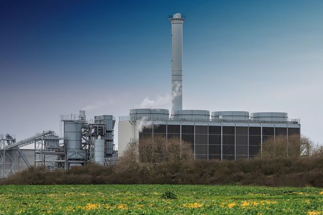 À court d’argent pour réparer la station biomasse de Tansterne que Solar 21 espérait vendre pour 100 millions de livres sterling