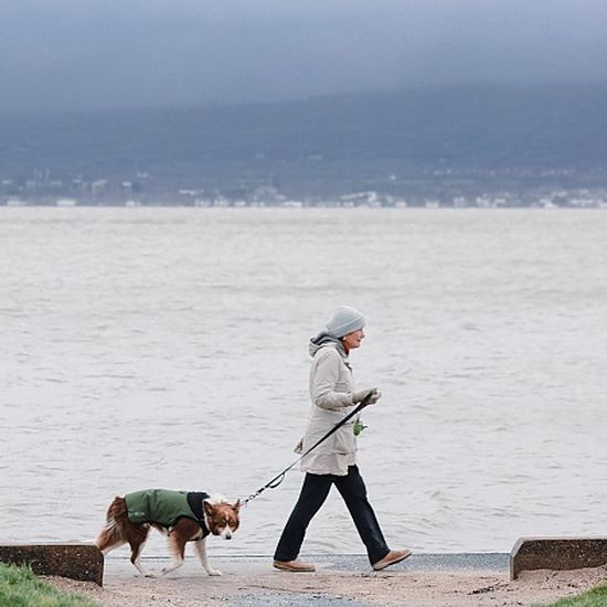 WEEKEND WEATHER: Mainly dry and sunny this weekend with temperatures  hitting a possible 25 degrees - Waterford Live