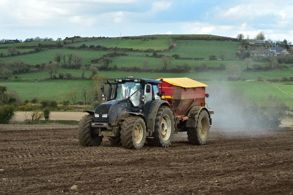 ‘Buying cheaper meal from the continent would mean betraying Irish tillage farmers, who now more than ever need our support’. Photo: Roger Jones