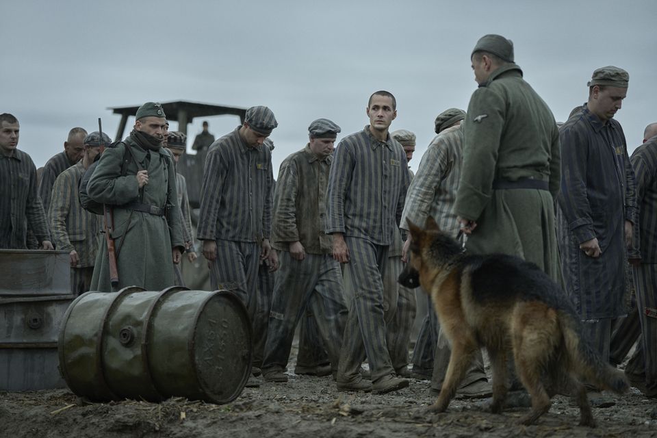 Jonah Hauer-King as Lali Sokolov. Photo: Martin Mlaka / Sky UK    