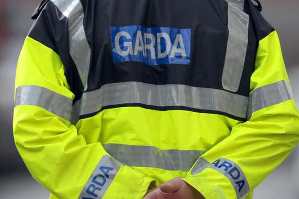 Man was also abusive to investigating gardaí. Stock image