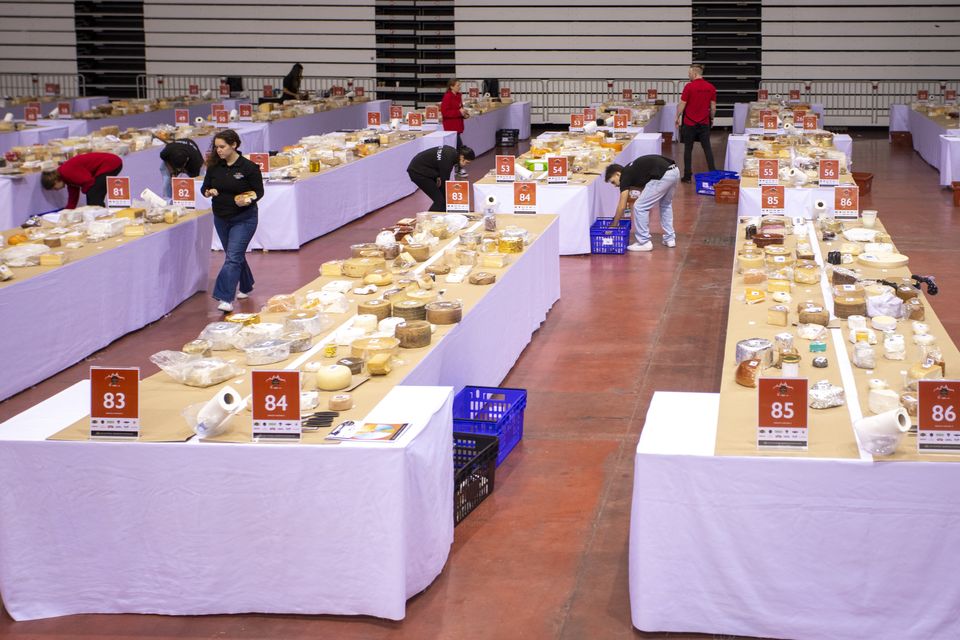 World Cheese Awards 2024