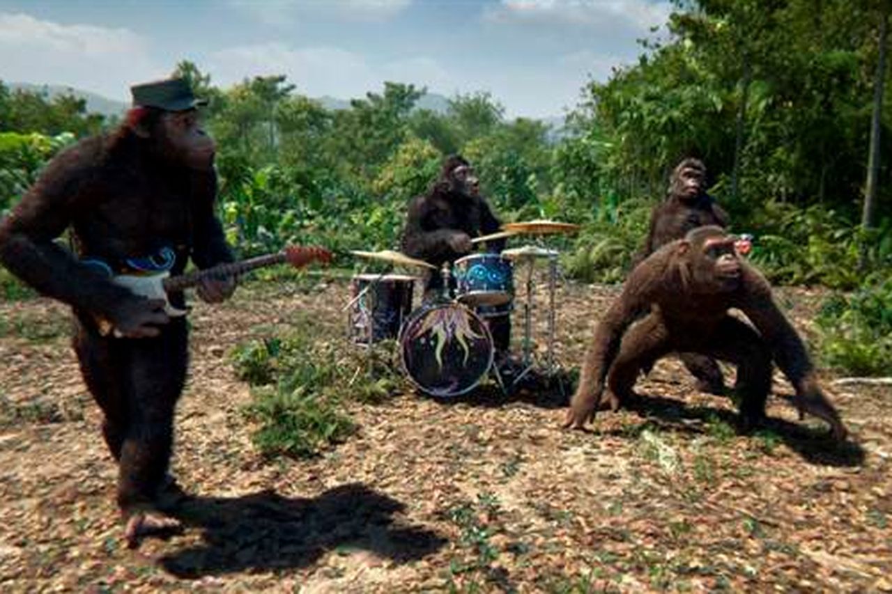 Танцующие обезьяны песня. Coldplay Adventure of a Lifetime обезьяна. Обезьяна танцует. Обезьяна пляшет.