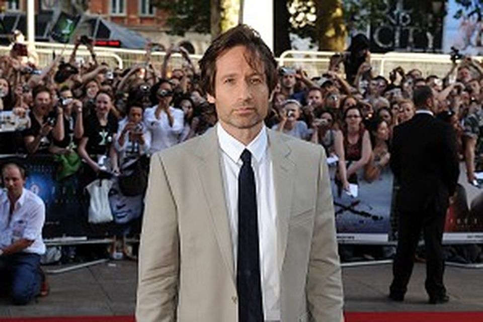 Duchovny agrees to reallife drama Irish Independent