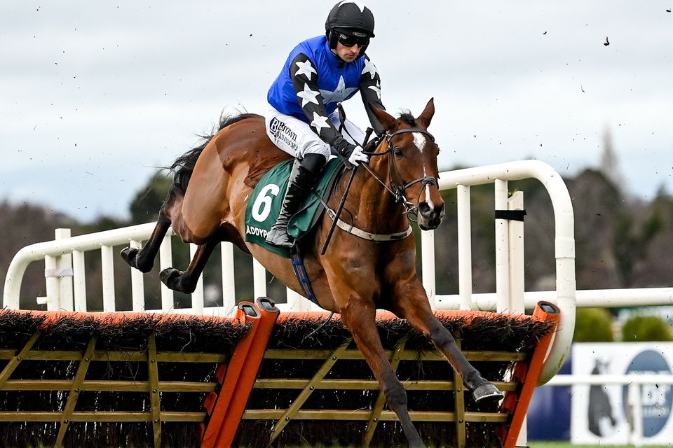 Ashroe Diamond and Patrick Mullins are gunning for glory in the Mares' Hurdle at Cheltenham today. Photo: Sportsfile