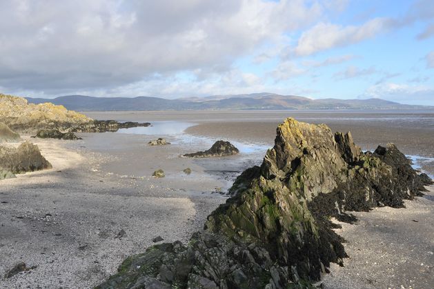Louth County Council is one of a minority of local authorities not conducting tests of sea water at "popular swimming spots”, it emerged this week.