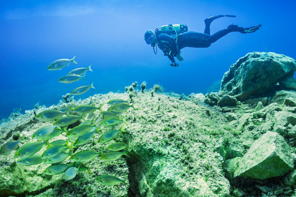 Middle Finger - Diveworld Gozo