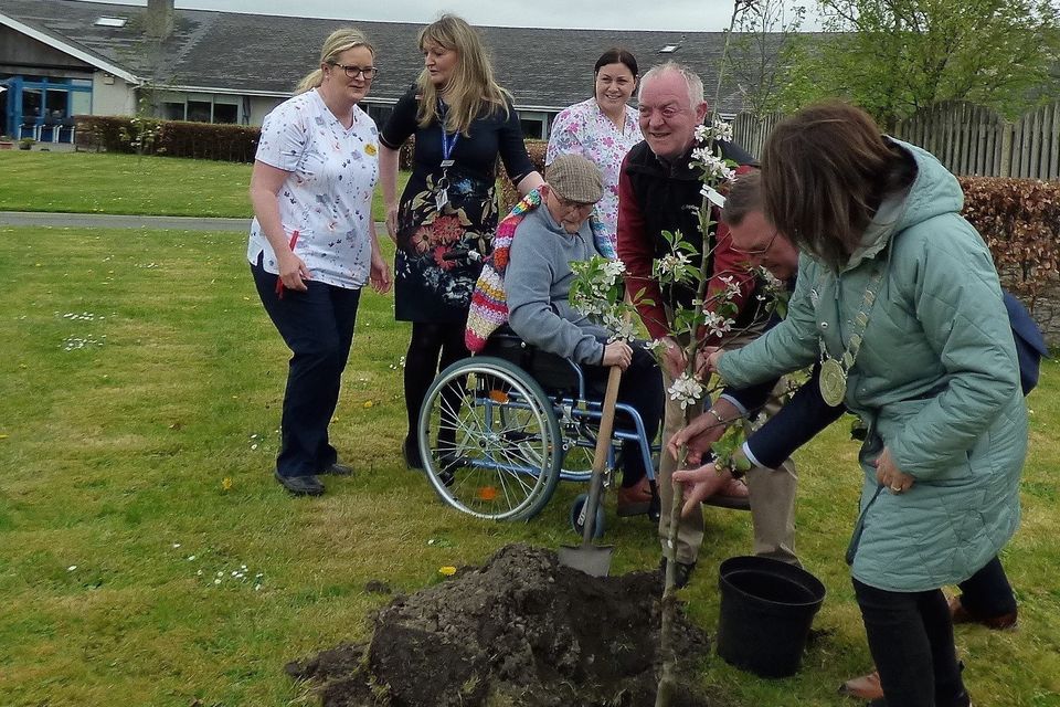 The trees were planted by residents of the Sacred Heart Hospital alongside Cathaoirleach of Carlow County Council Cllr. Andrea Dalton