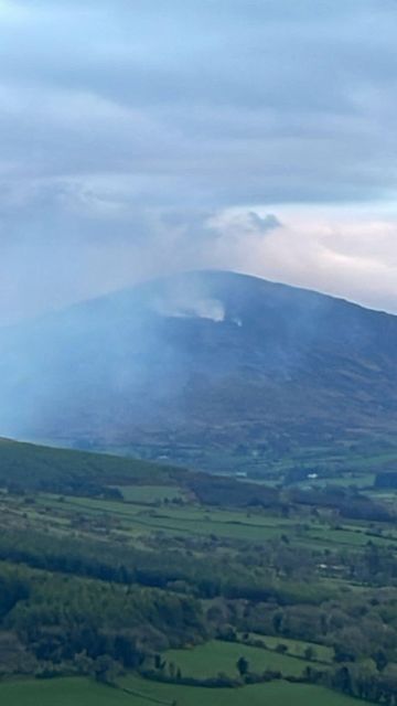 Large volumes of smoke were reported in the Rathanna and Ballymurphy areas of Co Carlow. Photo: Carlow Fire and Rescue Services