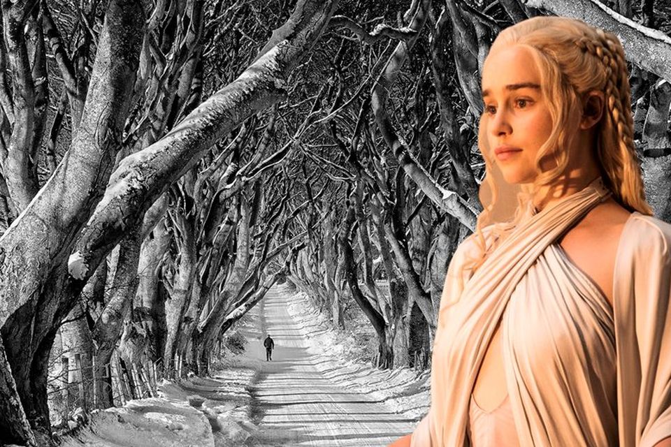 Composite Image: Emilia Clarke as Daenerys in Game of Thrones, with Northern Ireland's Dark Hedges in the background (image - DiscoverNorthernIreland.com).