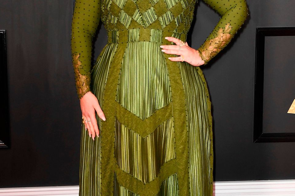 Adele hits back at critics of Grammys gown who compared her to Fiona from  Shrek | Irish Independent