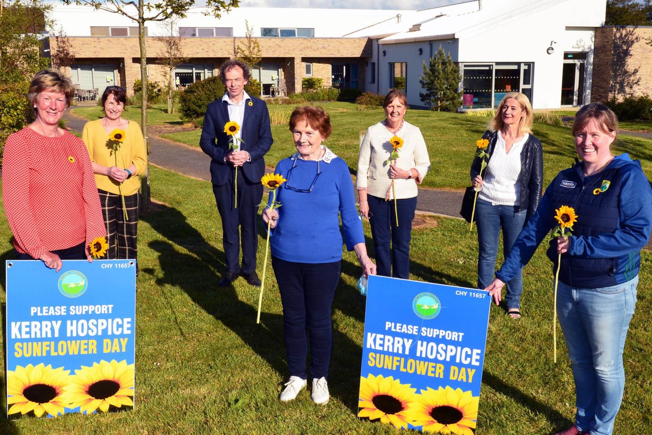 Kerry Hospice Foundation Annual Sunflower Day With A Difference Irish Independent 