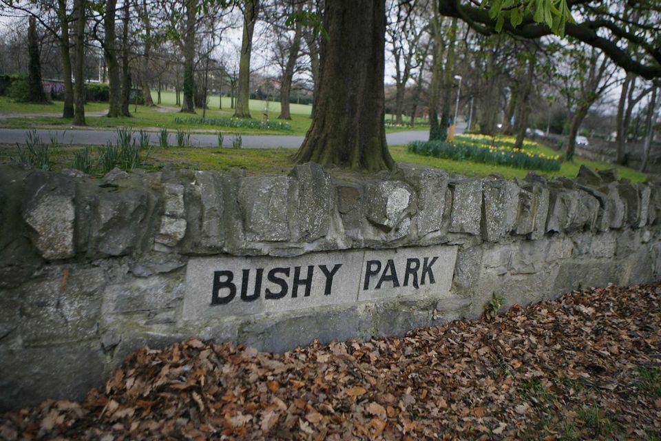 The new sculpture will be unveiled in Bushy Park, Terenure, next year