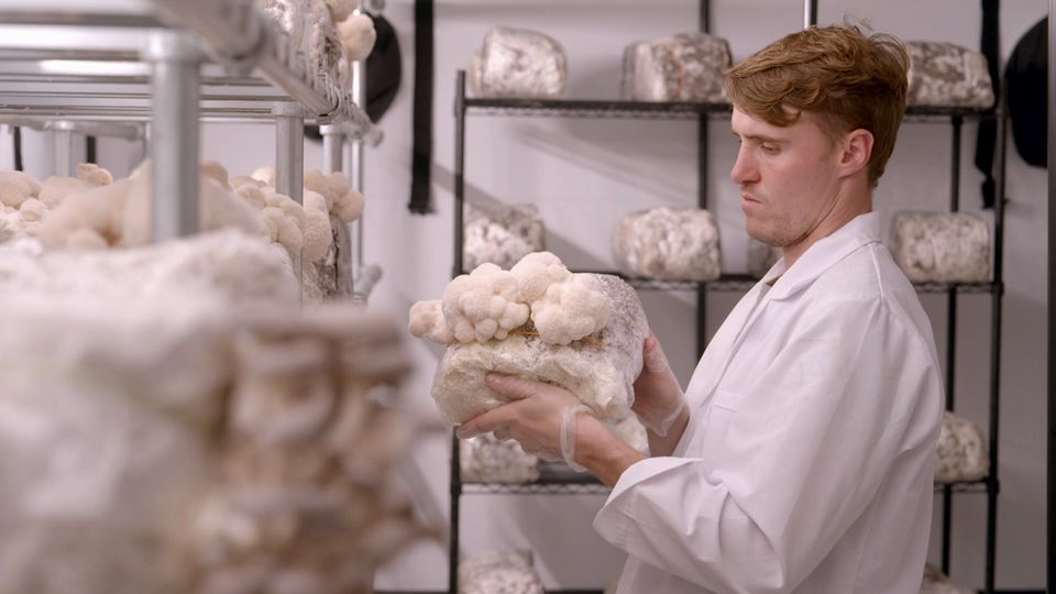 Gareth from Fungi Foods UK in ​Aldi’s Next Big Thing