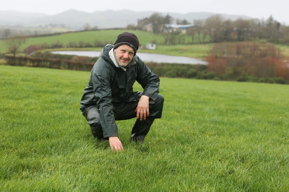Michael Duffy pictured on his farm at Kerrykeel in Co Donegal