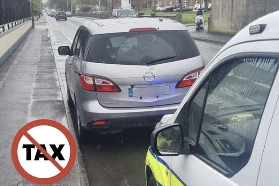 The driver was issued with fixed charge notices. Photo: An Garda Síochána Laois Offaly
