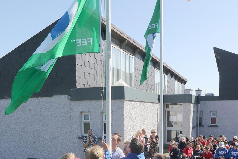 St.  Colman's NS Ballindaggin first Green Flag raising (Global Citizenship Litter & Waste).  In pictured: Jodie Brennan, Nellie Fortune, Beth Hipwell, Leah Brennan, Noah Nolan and Brian Cahill and principal Conor McDonald.