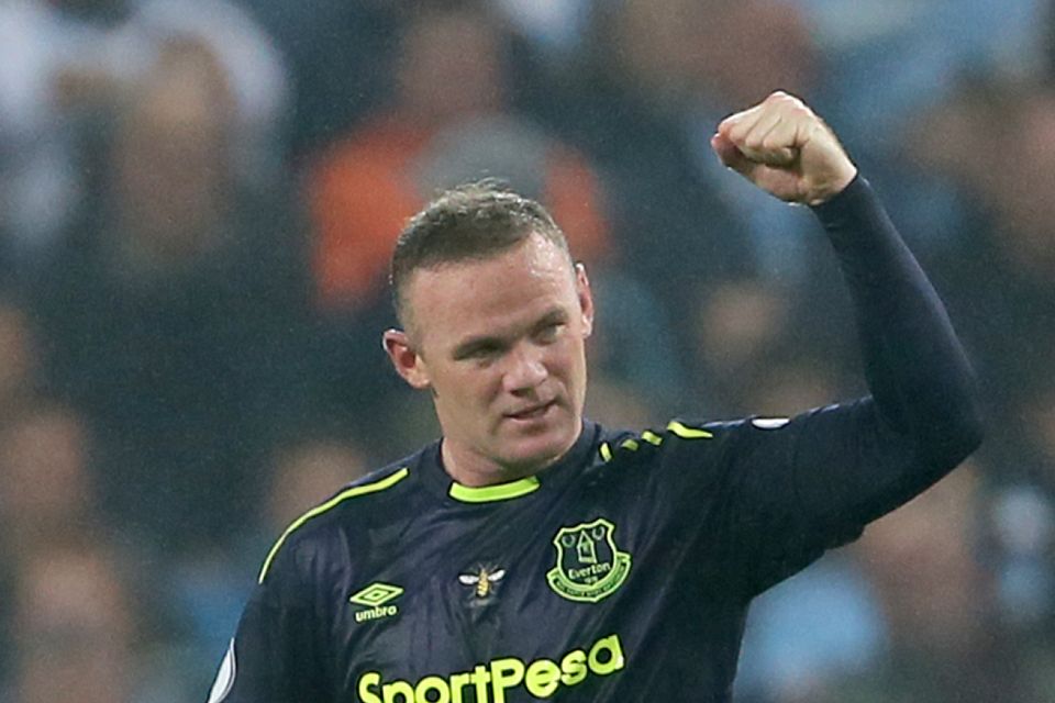 Wayne Rooney has joined Alan Shearer as the second player to reach 200 Premier League goals.