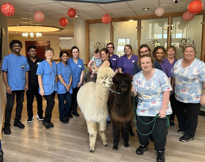 Wexford residents give alpaca friends a welcome return to local nursing home – ‘The smile on their faces said it all’