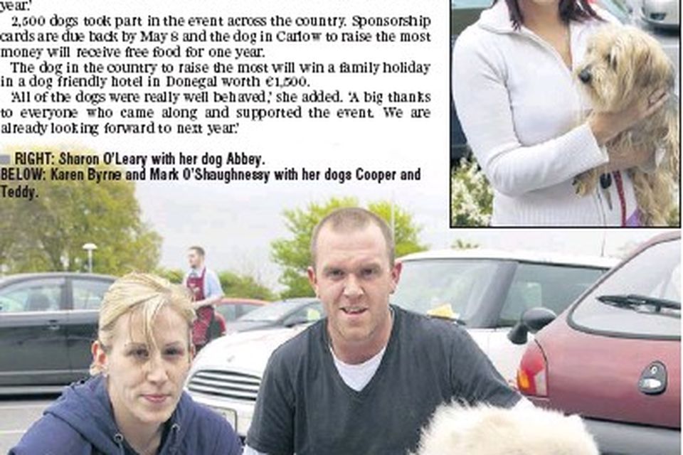 Dogs on best behaviour for big walk | Irish Independent