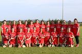 thumbnail: The Glenealy team who gave their all against Aughrim in the Intermediate camogie league final in Ballinakill.