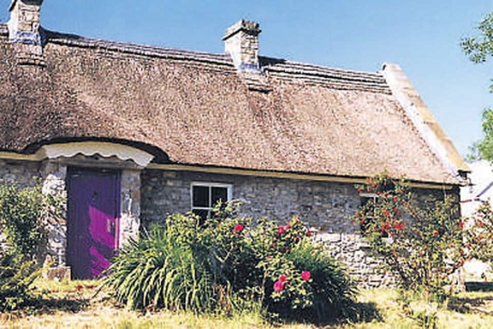 Organic Traditional Irish Cottage in Galway  Irish cottage, Irish cottage  interiors, Cottage interiors