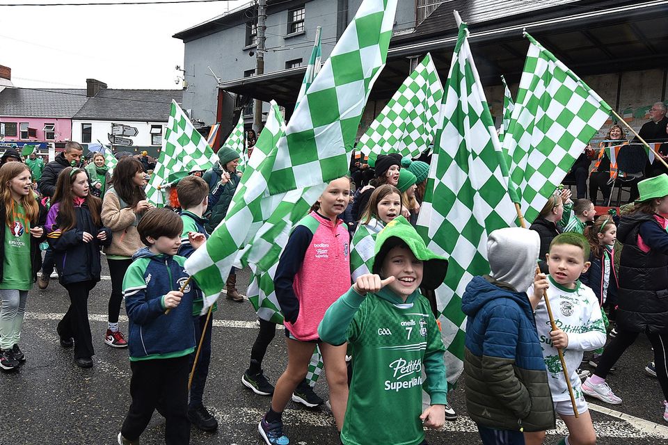 Naomh Eanna in the St Patrick's Day parade in Gorey. Pic: JIm Campbell