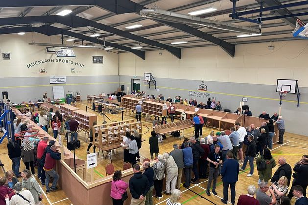 Local elections 2024 – Offaly: Sinn Féin the comeback kids as final results see Fianna Fáil hold most seats
