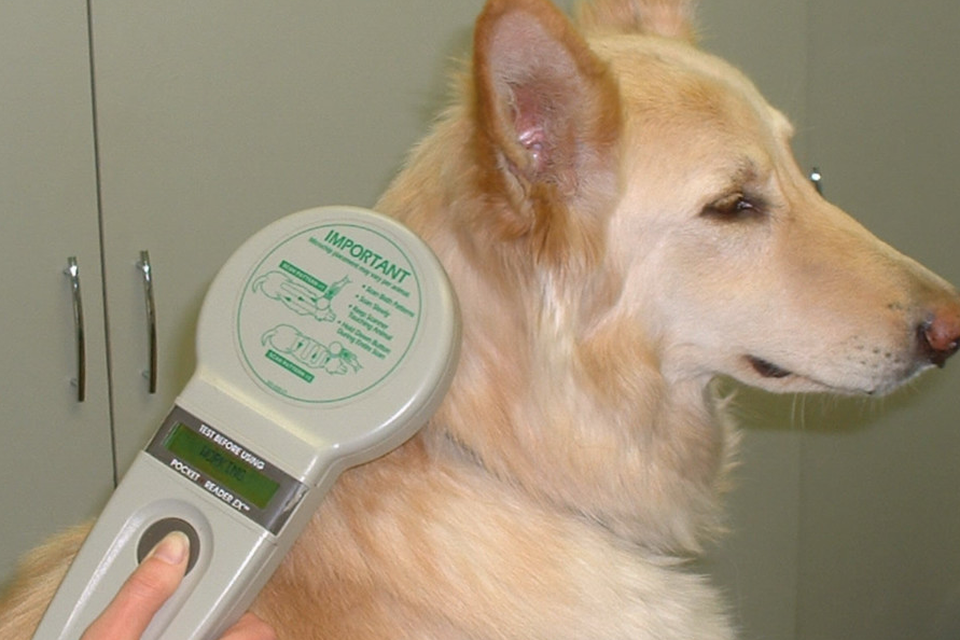 Microchip tracking hotsell device for dogs