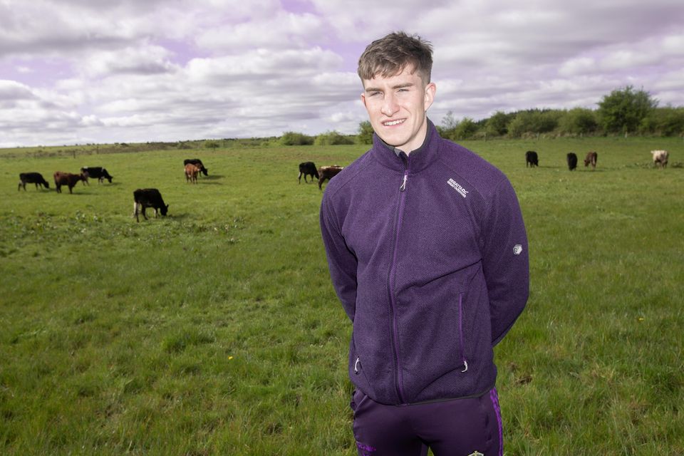 Roscommon GAA star Daire Cregg on his family farm near Boyle, where they have a herd of pedigree Shorthorns and rear Friesian heifers. Photos: Brian Farrell