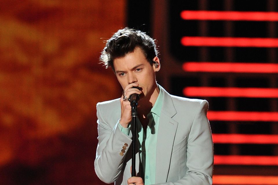 Fans Disappointed After Harry Styles Turns Down Prince Eric Role Irish Independent 6175