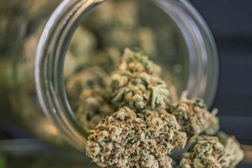 Cannabis (Stock image)
