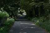 thumbnail: Slaney Park in Wicklow