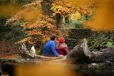 thumbnail: Autumn in Ireland. Photo: Brian Morrison / Fáilte Ireland