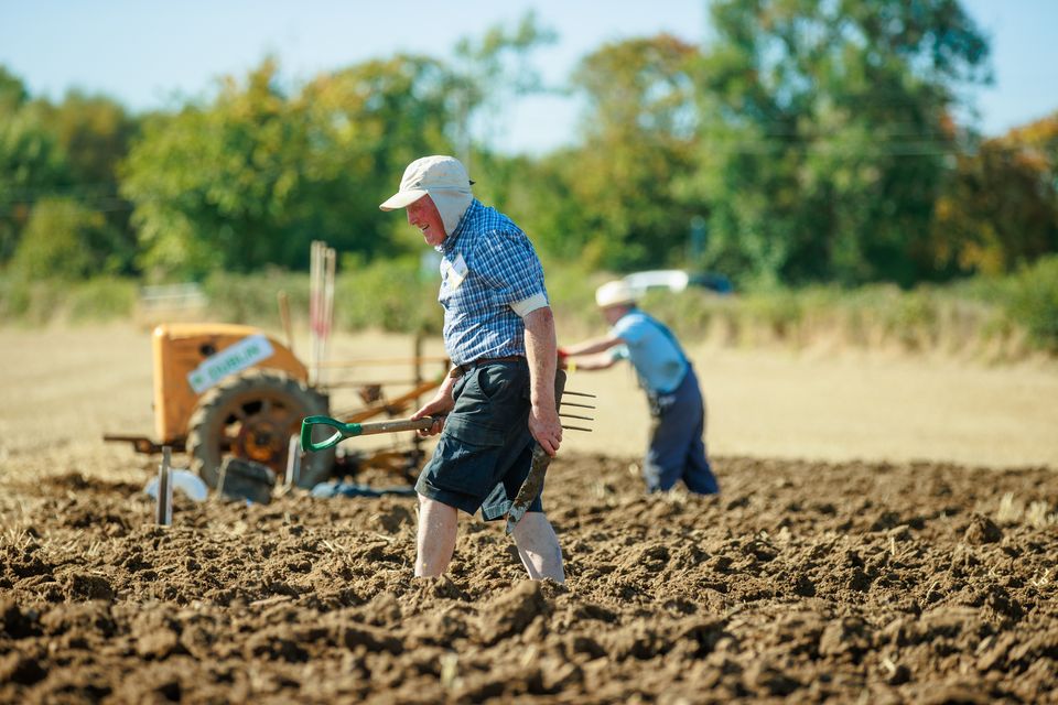 Ploughing on day two of  the National Ploughing Championships in Ratheniska. Pic: Mark Condren