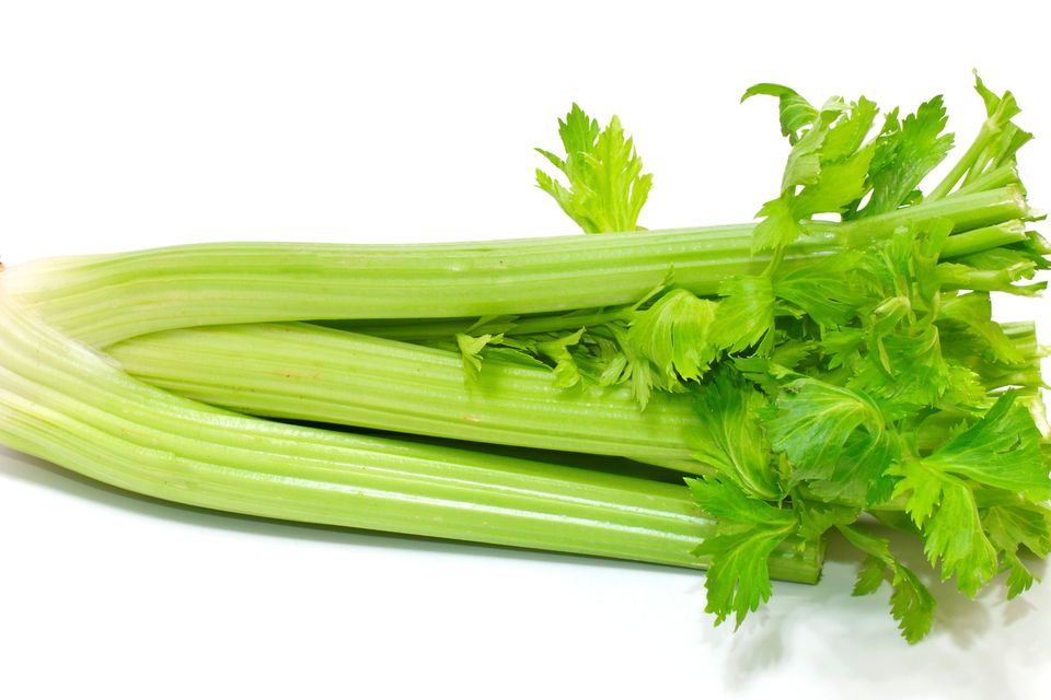 Celery is terrifically healthy food