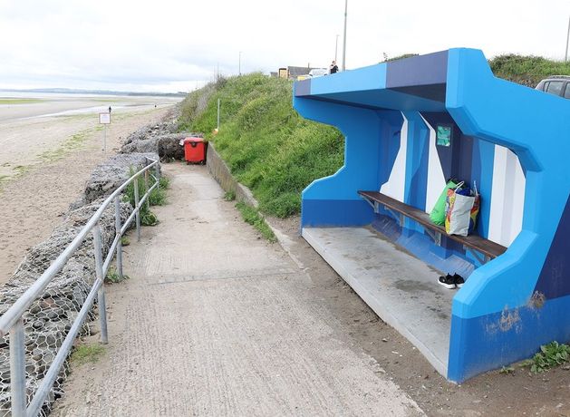 Teenager stirbt nach Schwimmunfall in Co Meath