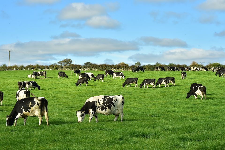 “This weak demand is being met by resilient milk supplies in many of the larger production areas, resulting in a continued imbalance between supply and demand," according to Lakeland.