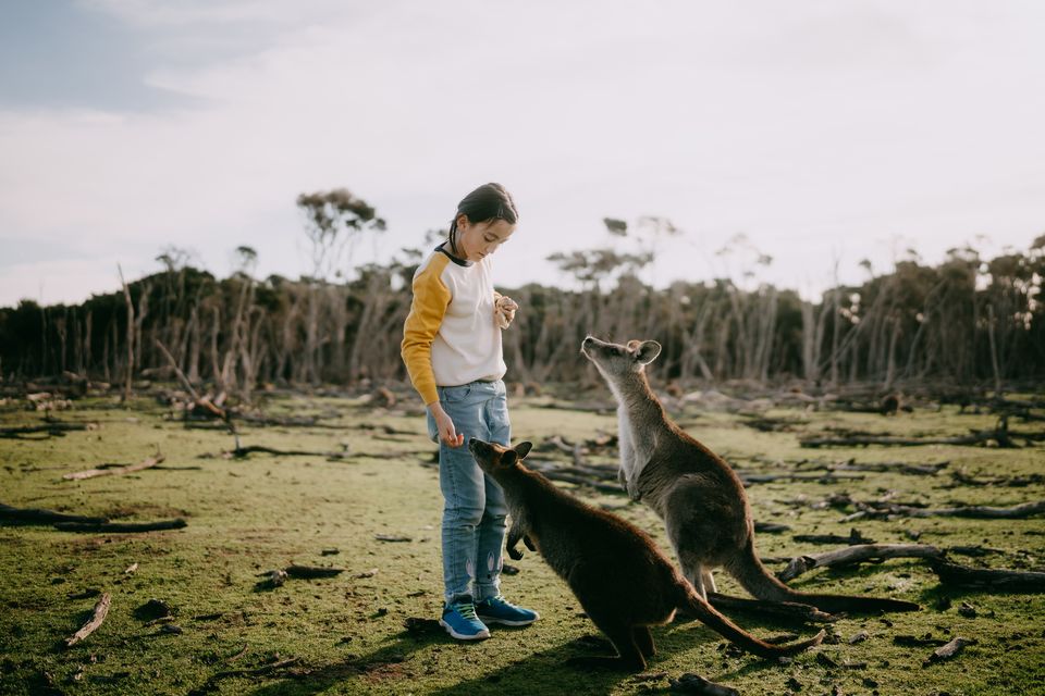 Ireland and Australia have a double taxation agreement. Photo: Getty