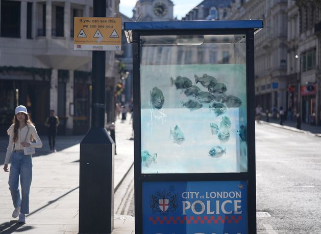 ロンドンの警察ボックスに泳ぐ魚のデザイン、バンクシーの最新作と思われる