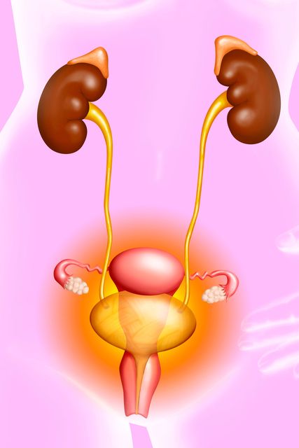 Tests at the GP miss at least 50pc of bacterial infections in the urinary tract