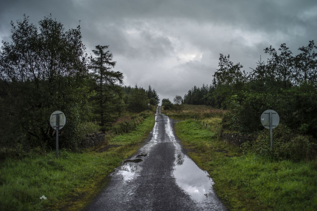Grants of up to €6,000/ha available under new Native Woodland ...