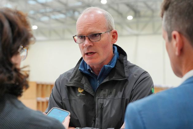 Simon Coveney questions vets’ role at horse abattoir